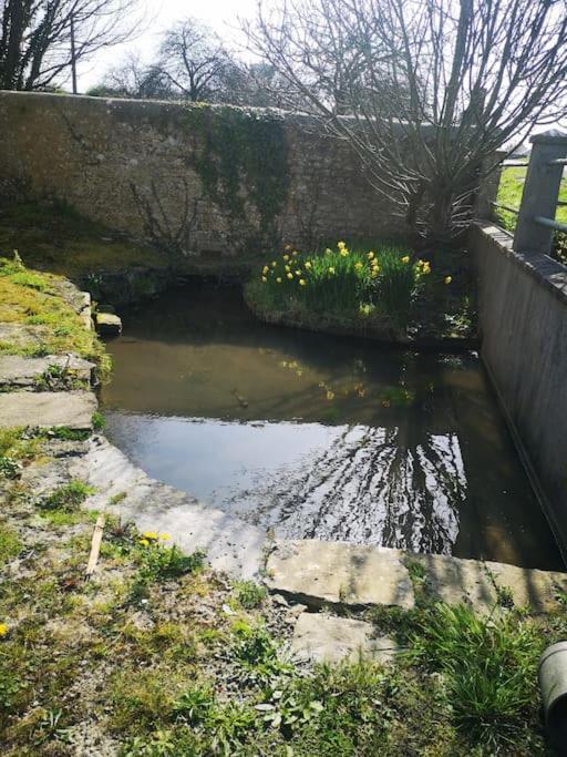 Gite Spacieux Et Chaleureux Sainte-Mère-Église エクステリア 写真